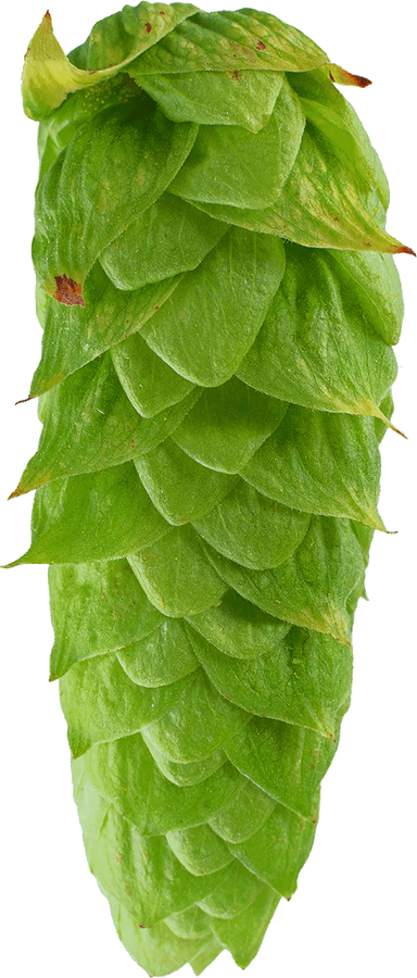 Cascade (PL)