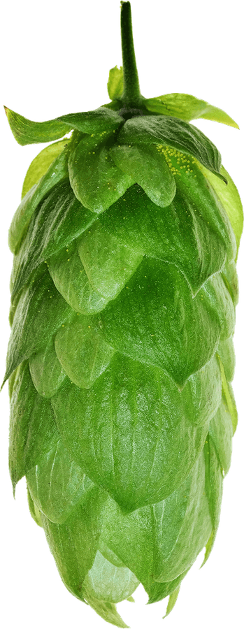 Junga