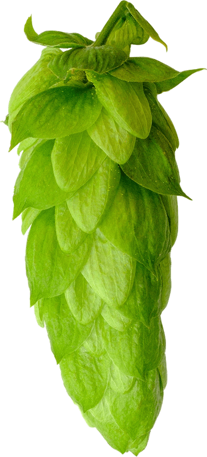 Oktawia