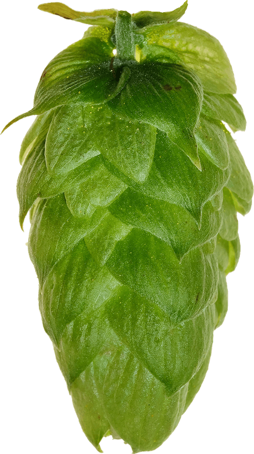 Tomyski