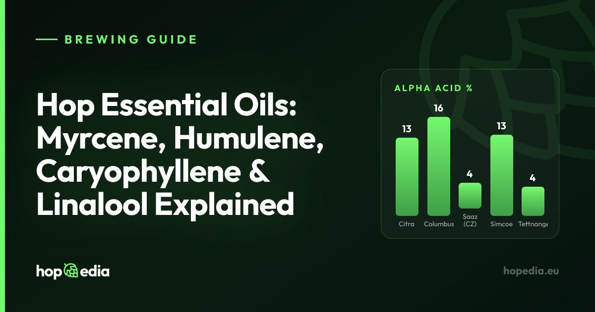 Hop Essential Oils: Myrcene, Humulene, Caryophyllene & Linalool Explained