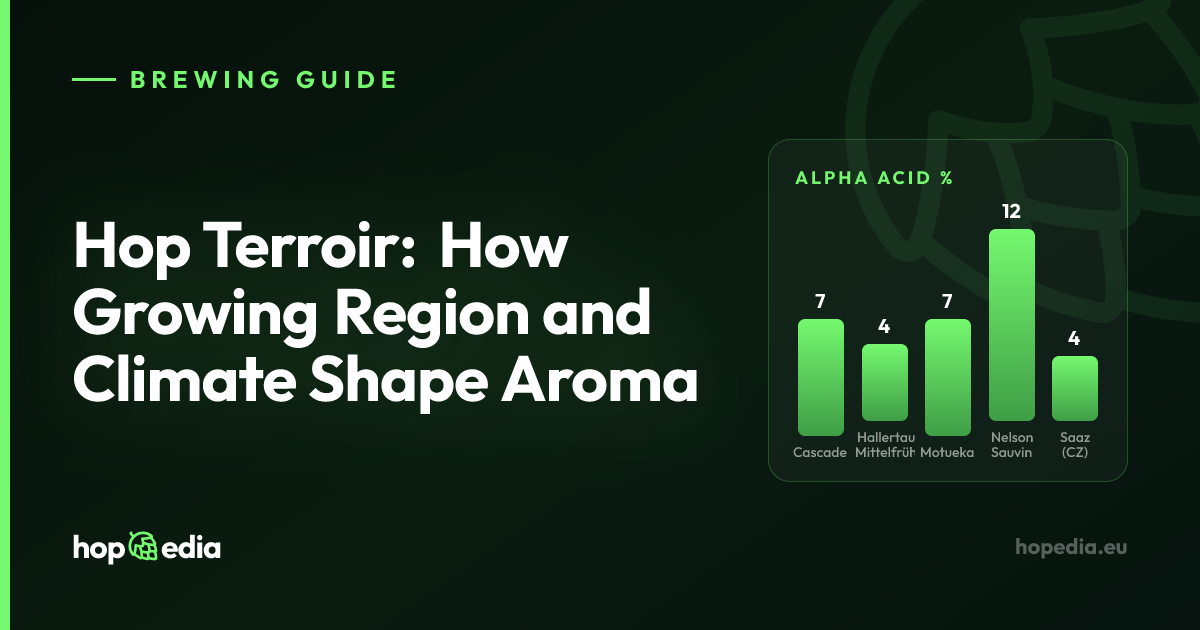 Hop Terroir: How Growing Region and Climate Shape Aroma