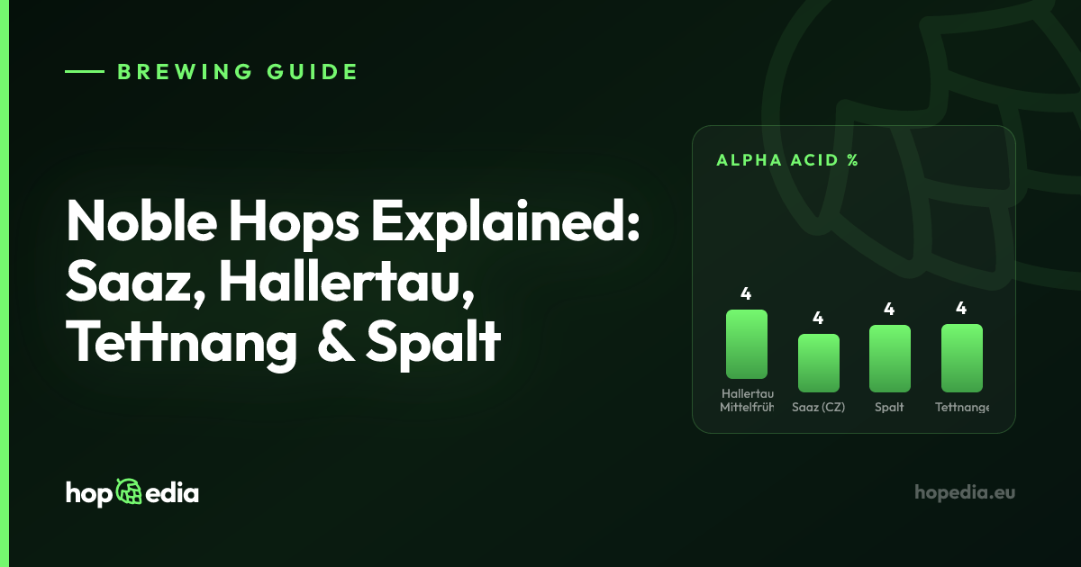 Noble Hops Explained: Saaz, Hallertau, Tettnang & Spalt
