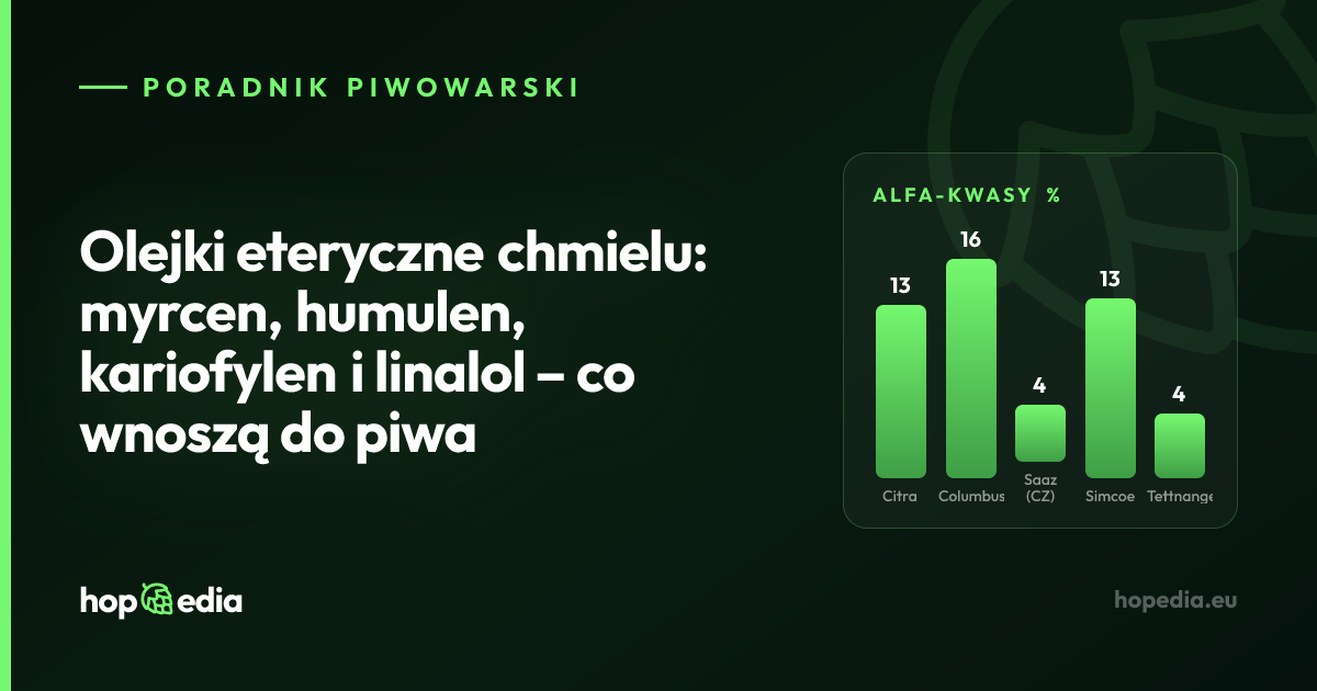 Olejki eteryczne chmielu: myrcen, humulen, kariofylen i linalol – co wnoszą do piwa