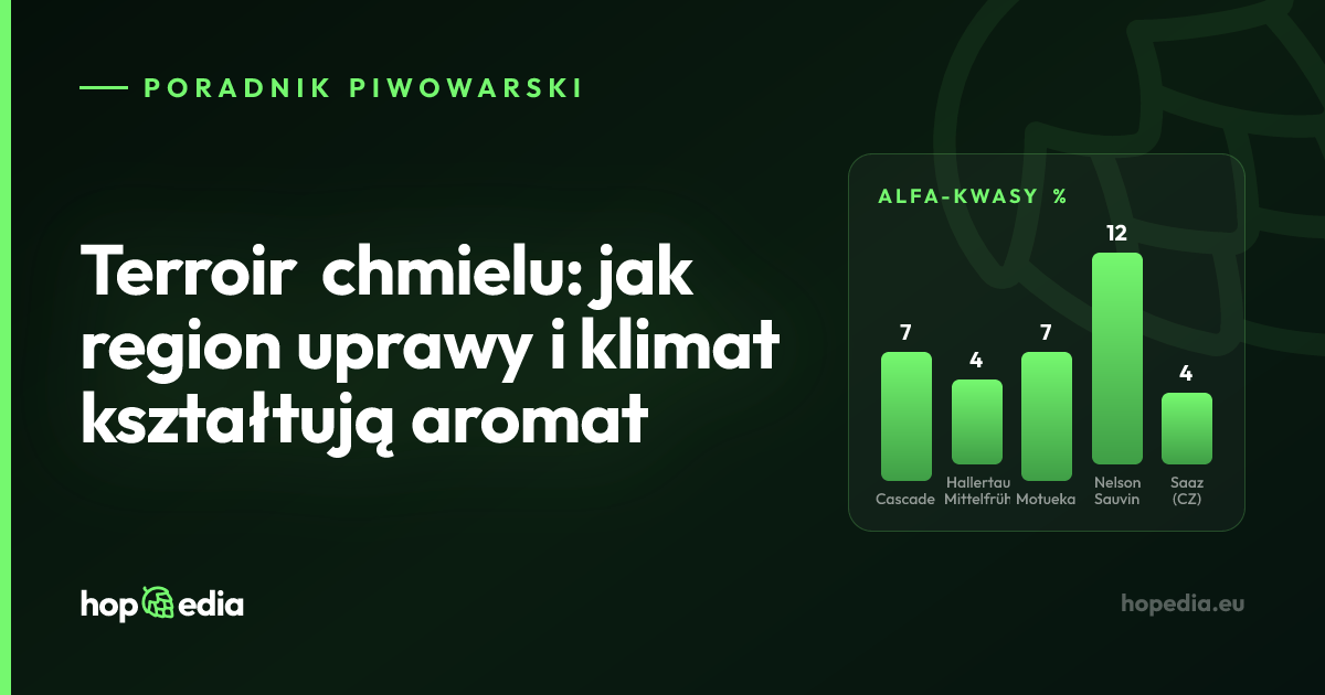 Terroir chmielu: jak region uprawy i klimat kształtują aromat